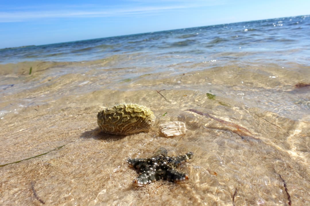 Strand Club Amigo Hotel Ancon