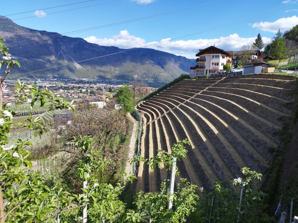 Außenansicht Panorama Hotel Garni Bühlerhof