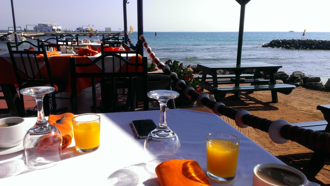 Restaurant Desert Rose