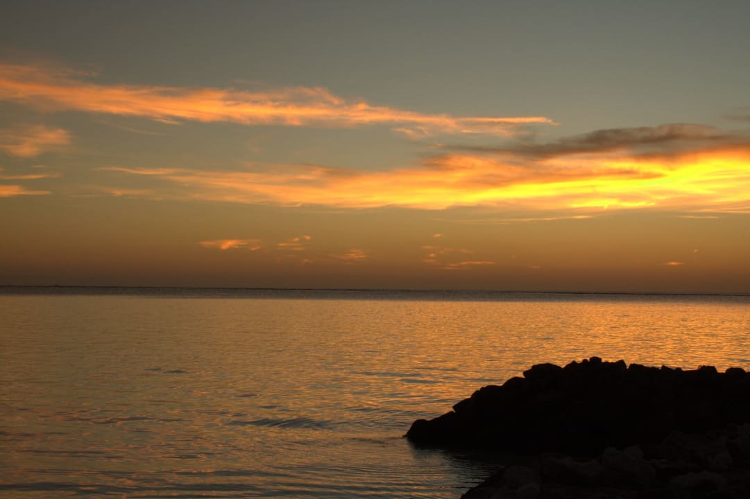 Da möchten wir wieder hin Summer Island Maldives
