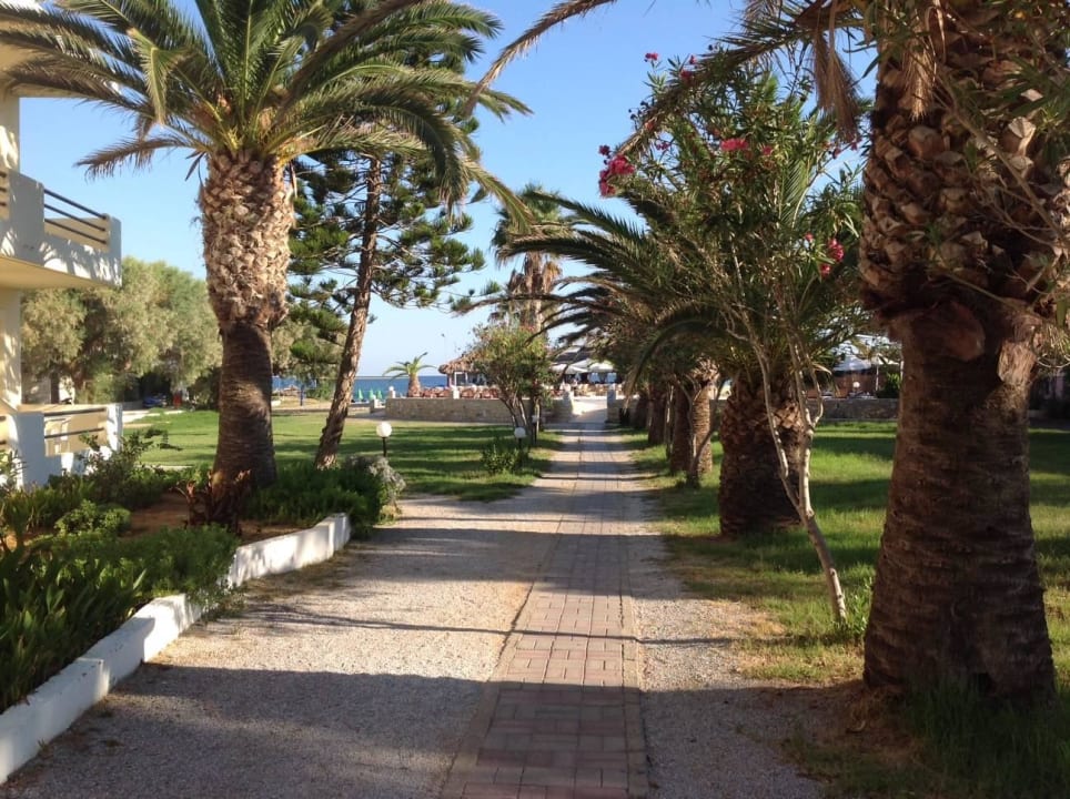 Der Weg zum Strand und Restaurant HARPIN Happy Days Beach Hotel