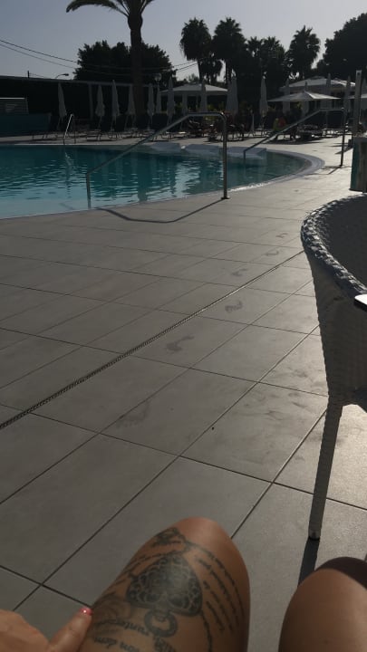 Pool Canary Garden Club