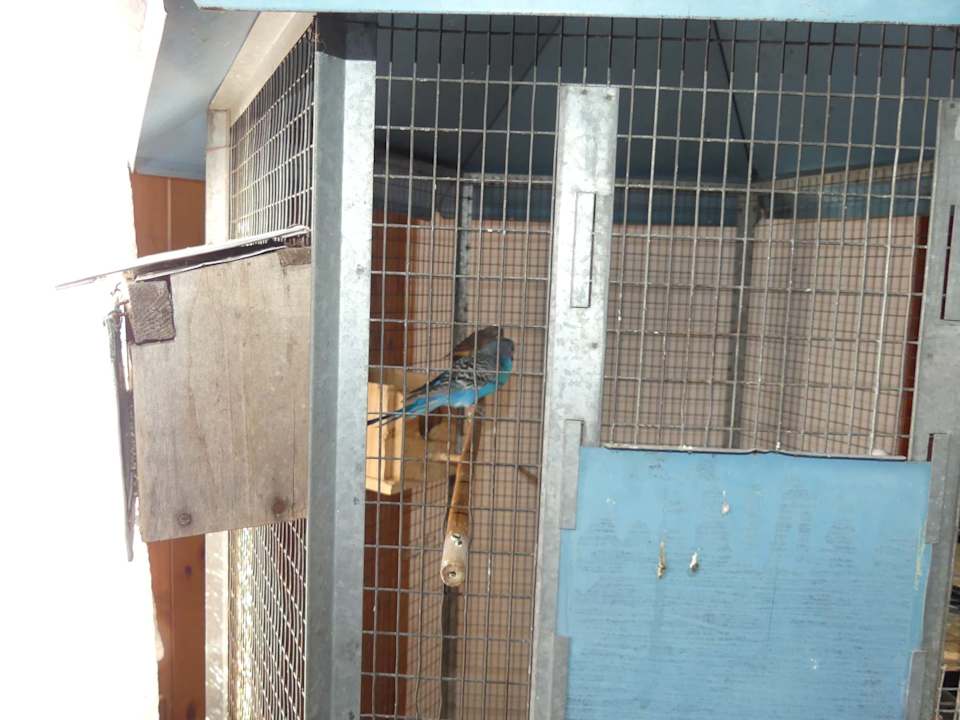 Sonstiges Pension Alla Pineta