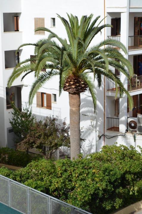 Vom Balkon aufgenommen Hotel Girasol