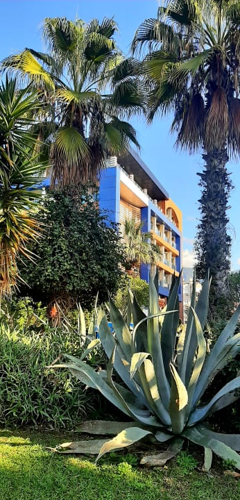 Gartenanlage Gardenia Hotel