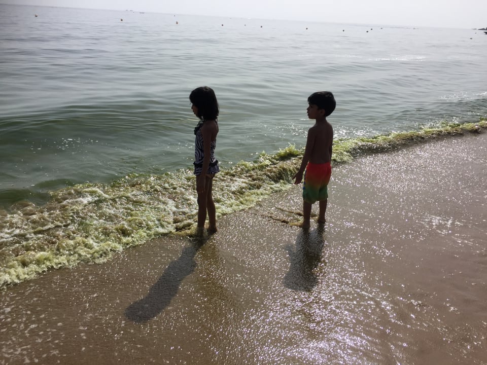 Strand Miramar Al Aqah Beach Resort