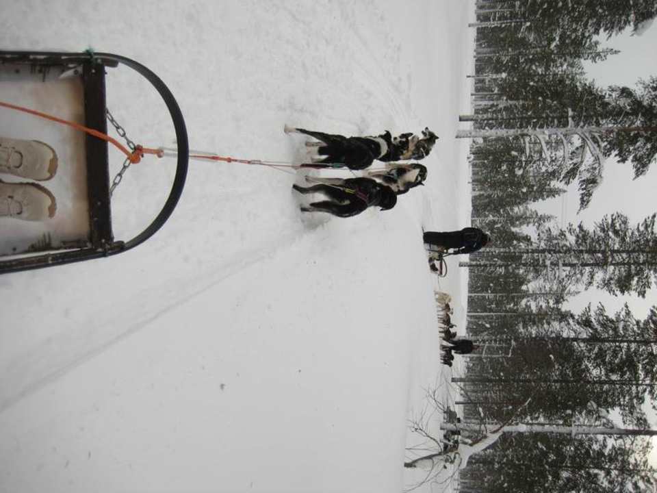Huskytour Hotel Igloo Village Kakslauttanen