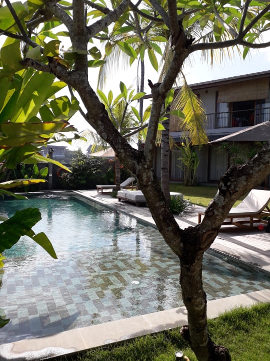 Pool MASMARA Resort Canggu