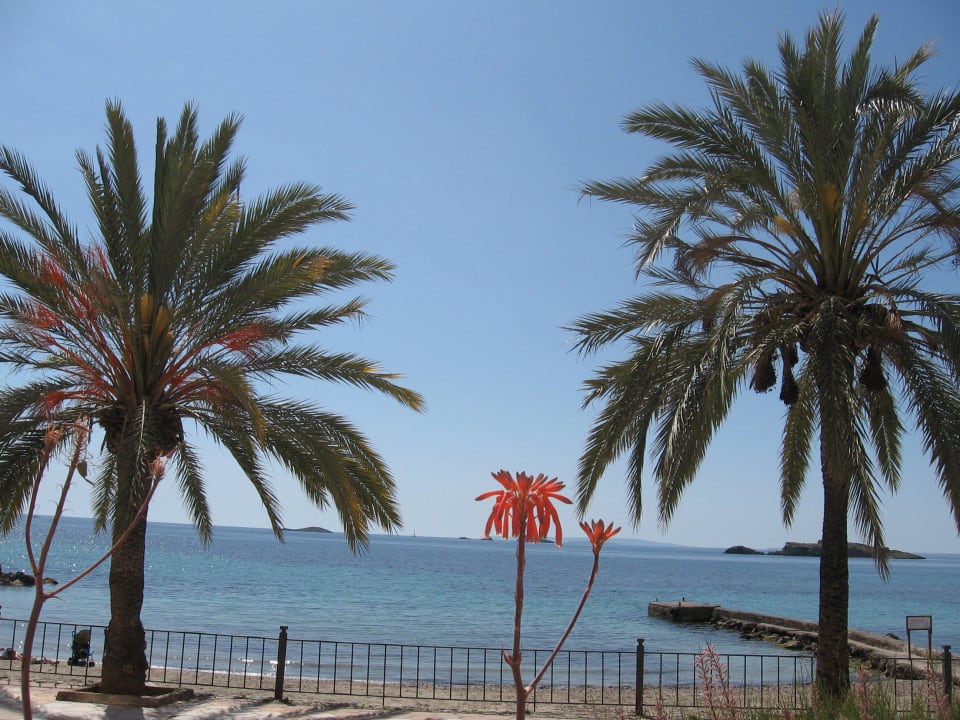 Blick vom Pool aufs Meer Apartments Mar y Playa I