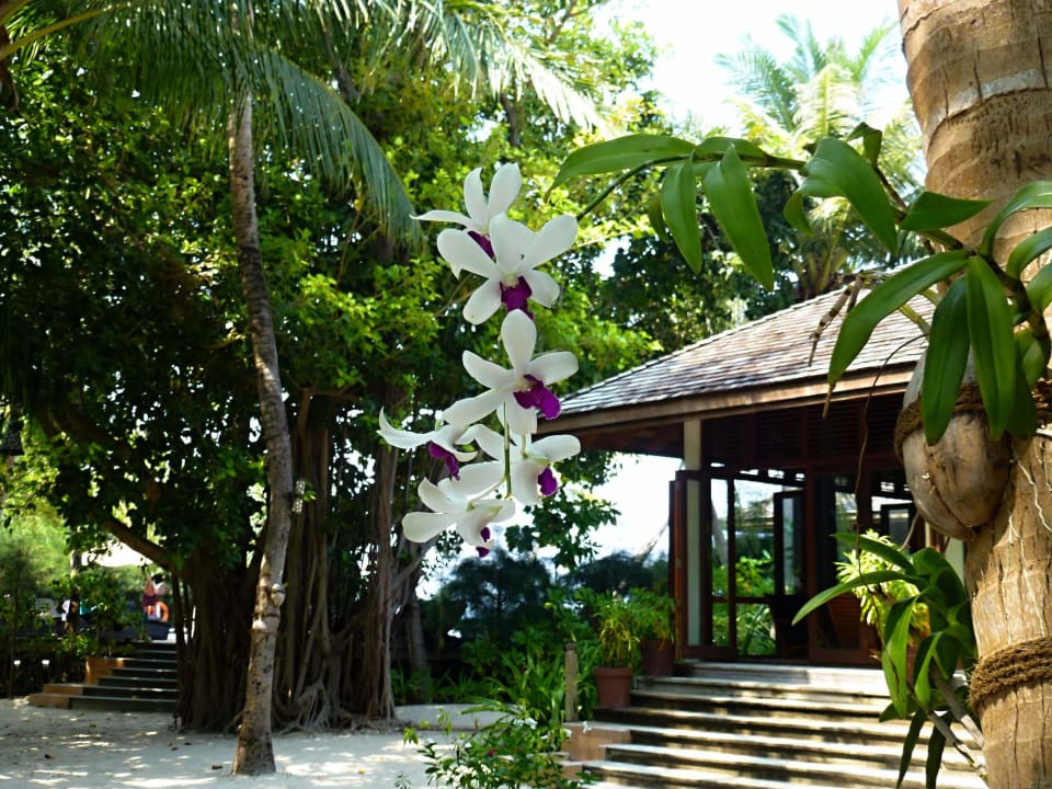 Gartenanlage Kuredu Island Resort & Spa