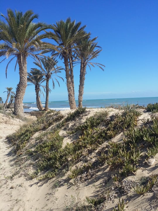 Strand Hotel El Mouradi Djerba Menzel