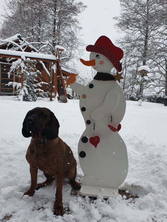 Gartenanlage Hotel-Pension Ötzmooshof