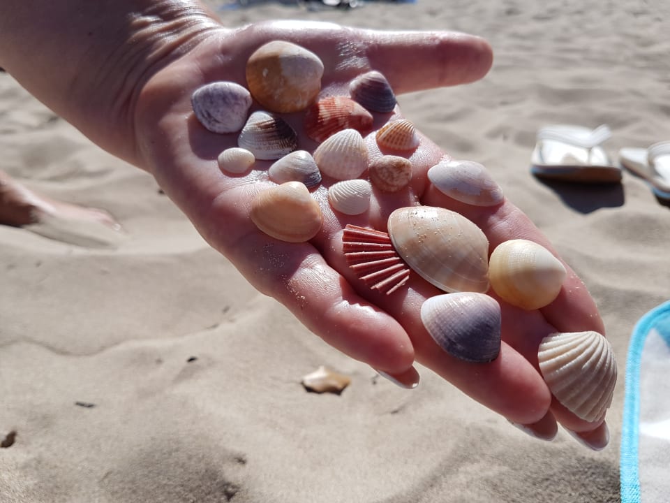 Strand The Sea Hotel by Grupotel - Adults only