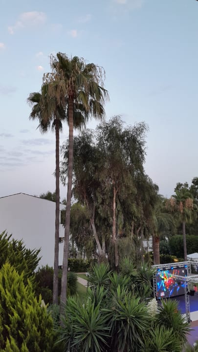 Gartenanlage Iberostar Waves Ciudad Blanca