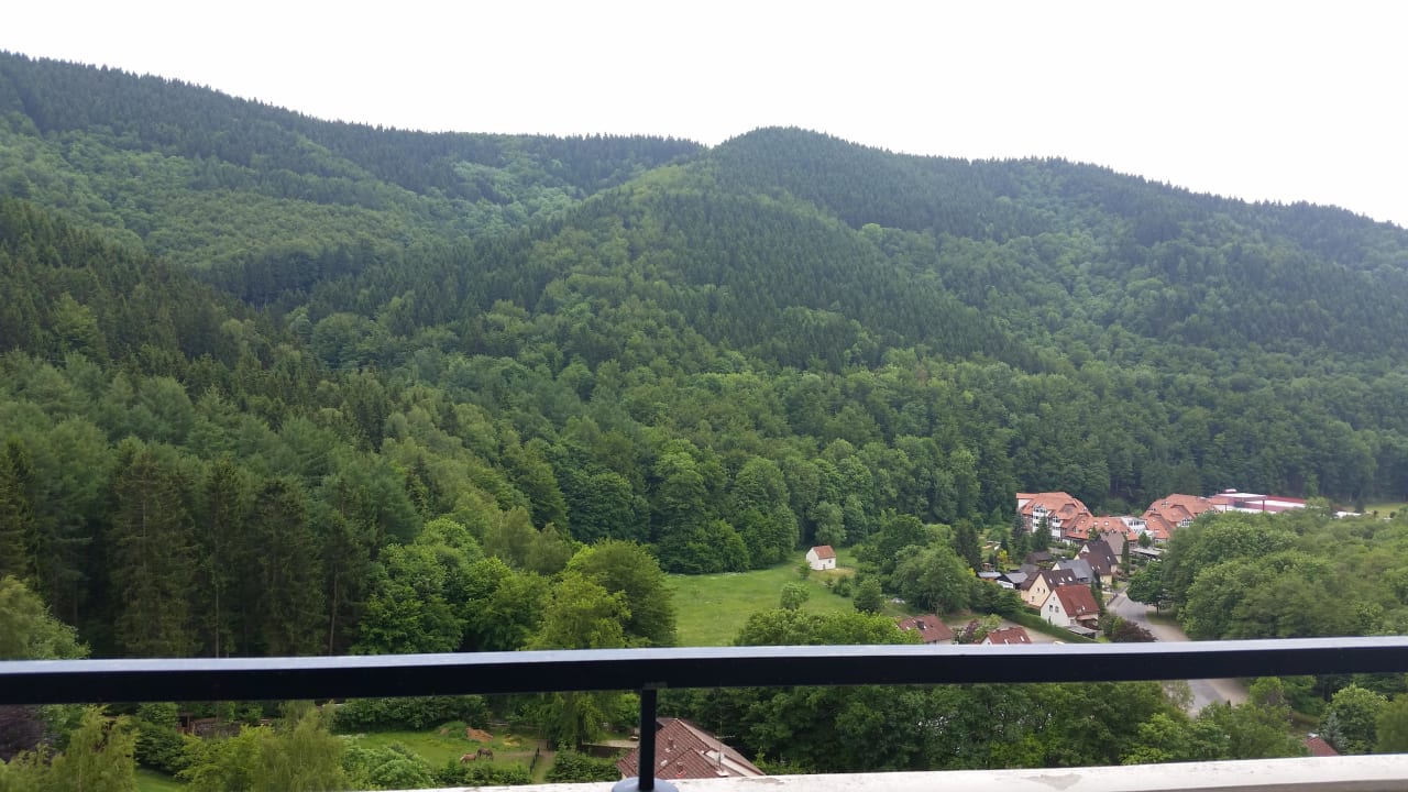 Blich aus dem Zimmer Panoramic - Ihr Apartmenthotel im Harz