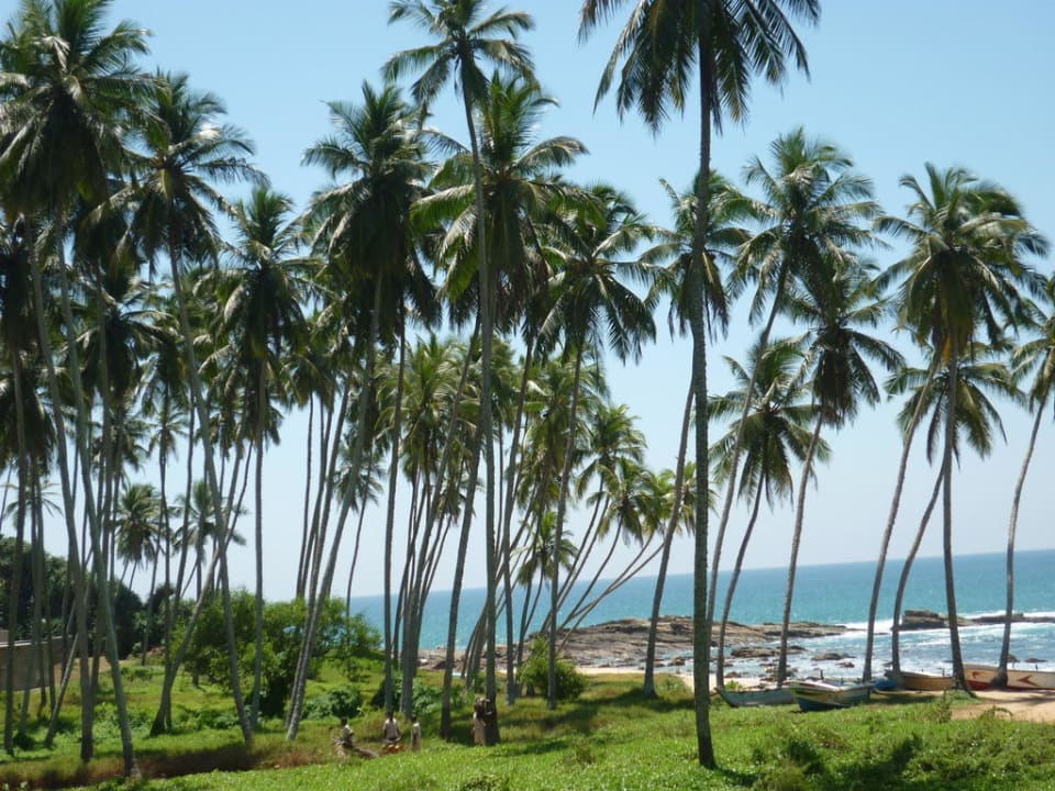 Weg zum nächsten Traumstrand Palm Paradise Cabanas