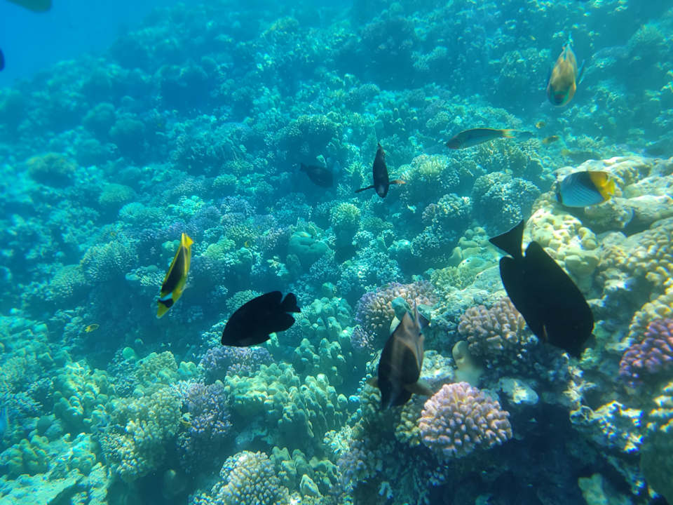 Ausblick Grand Makadi