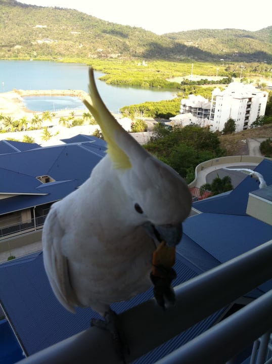 Kakadu Hotel Peppers Coral Coast