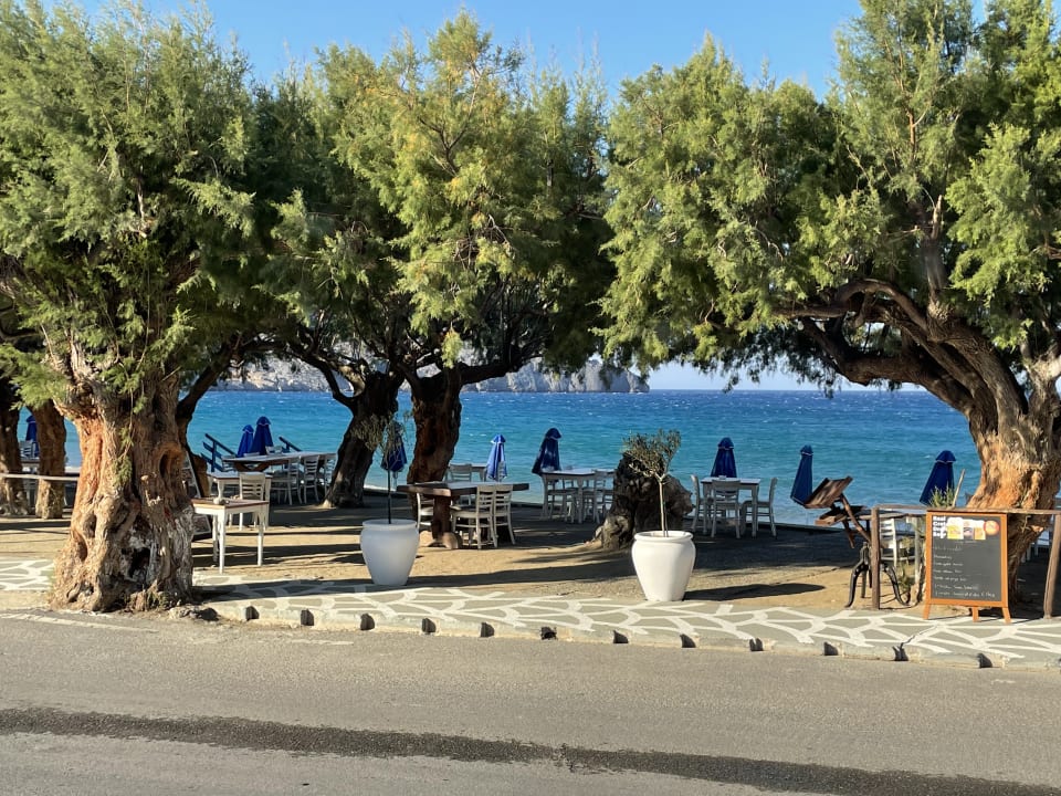 Gastro Alianthos Beach Hotel