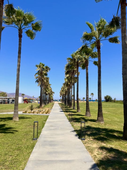 Gartenanlage Delfina Tropic Beach