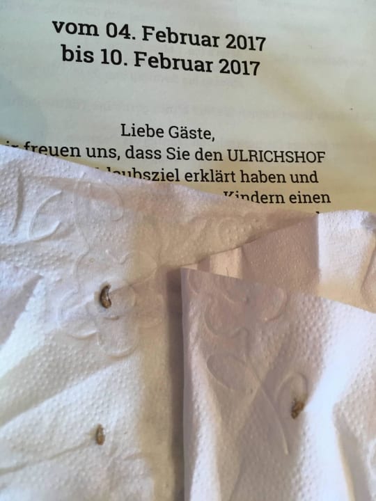 Silberfischchen im Bad und Schlafzimmer  ULRICHSHOF Nature · Family · Design