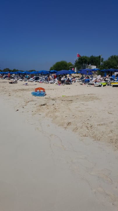 Strand Asterias Beach