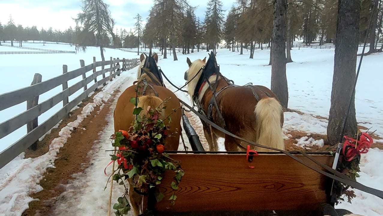 Sport & Freizeit Hotel & Gasthof zum Hirschen