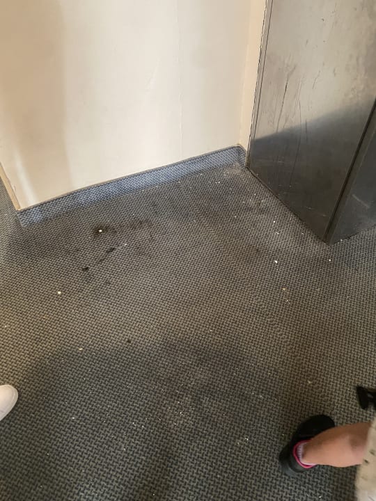 Sonstiges Occidental Marco Polo