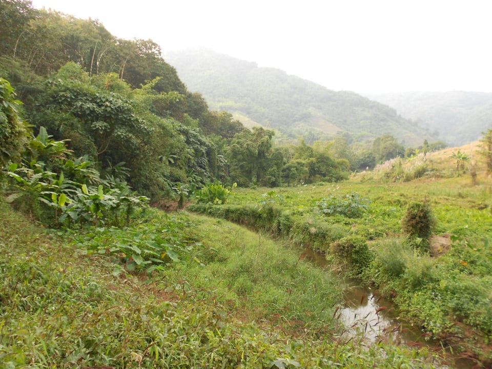 Natur pur Nok's Garden Resort