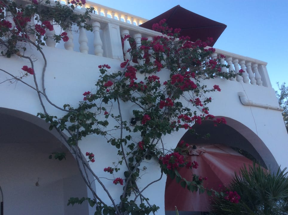 Außenansicht Maison dˋHôte Domaine El-Manar