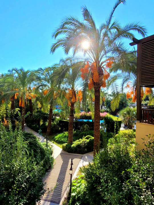 Ausblick Sunis Kumköy Beach Resort Hotel & Spa