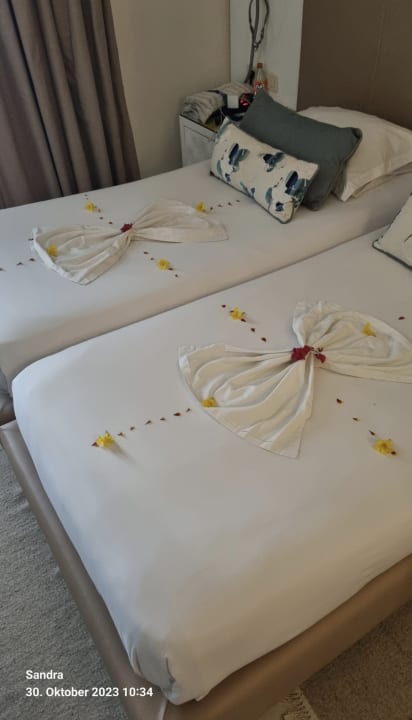 Zimmer TUI MAGIC LIFE Penelope Beach