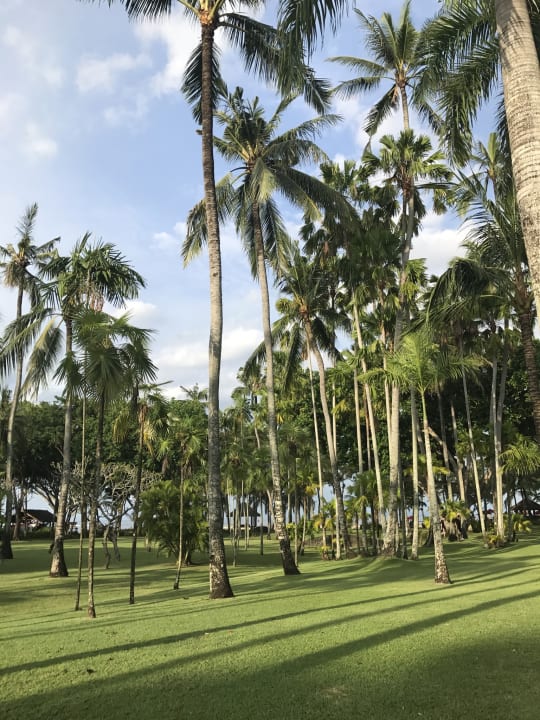 Gartenanlage Club Med Bali