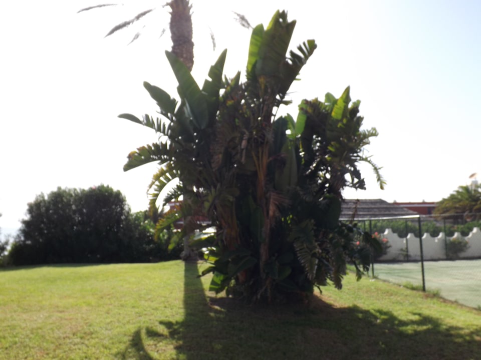 SBH Costa Calma Beach Resort SBH Costa Calma Beach Resort