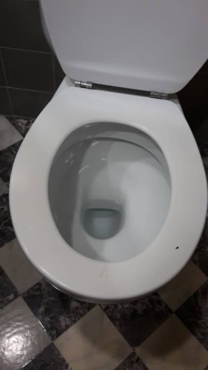 Klobrille fleckig - Igitt Hotel Vibra Beverly Playa