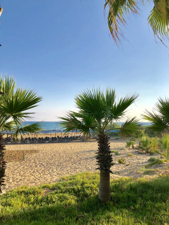 Strand Club Grand Aqua