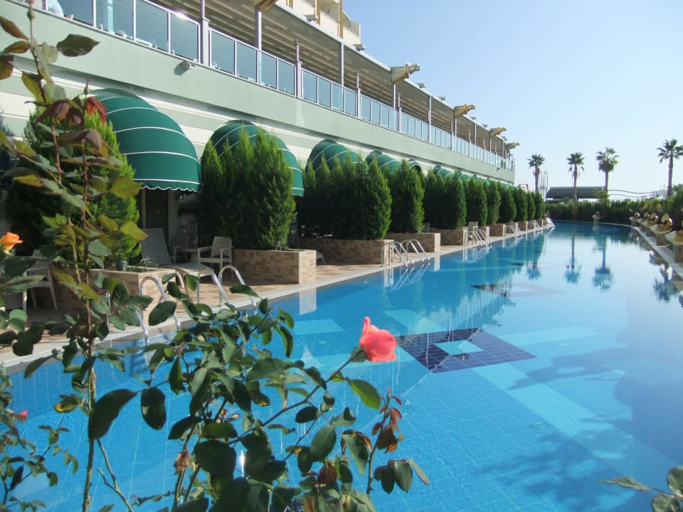Zimmer mit Poolzugang Hotel Delphin Imperial