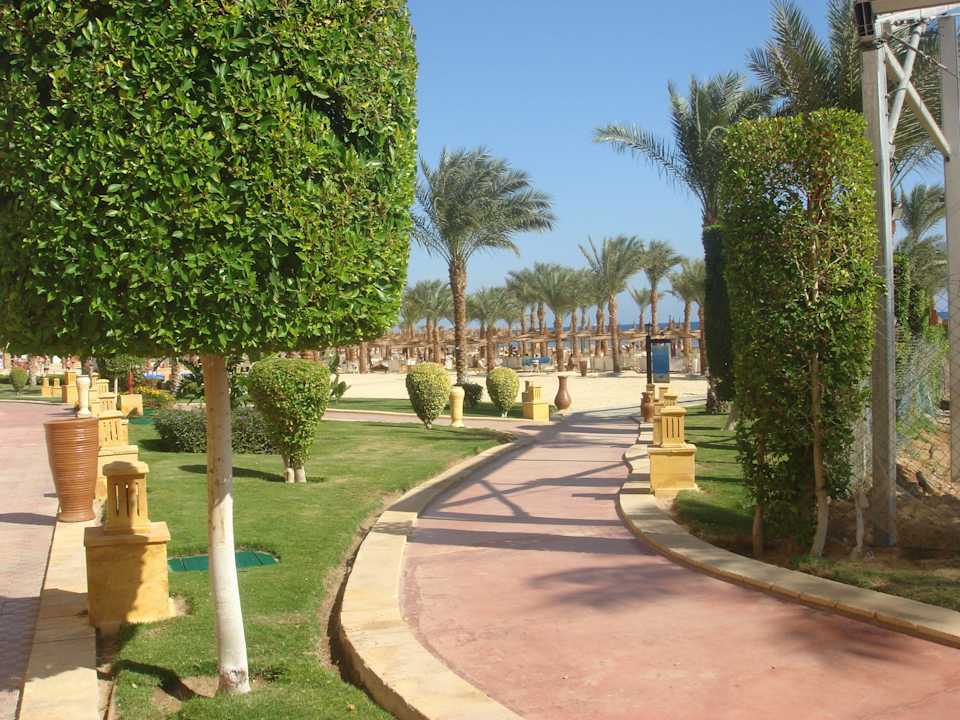 Территория отеля Pickalbatros Palace Resort