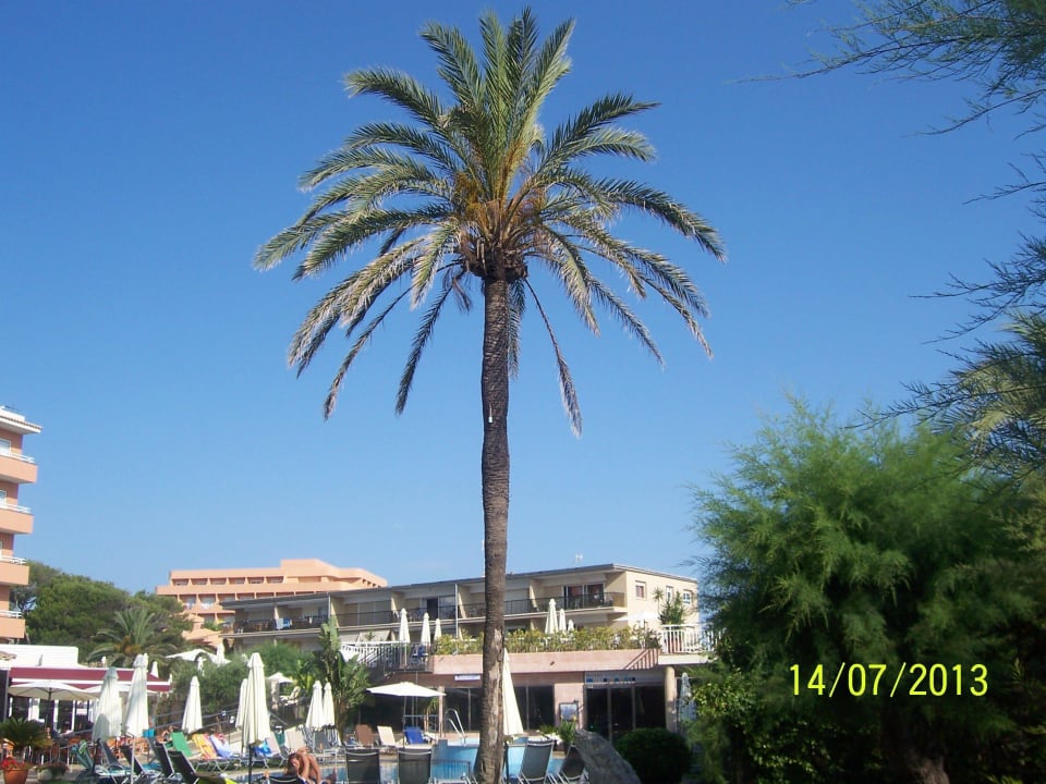 Palma Caprice Janeiro Hotel & Spa