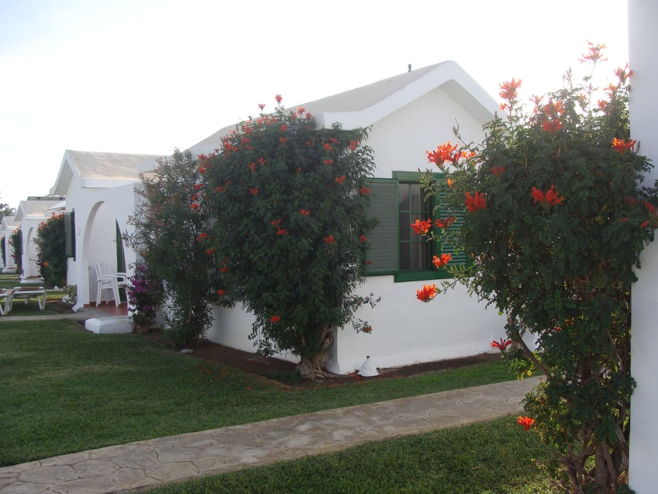 Bungalows Canary Garden Club