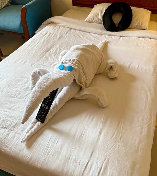 Zimmer Coral Hills Resorts & SPA