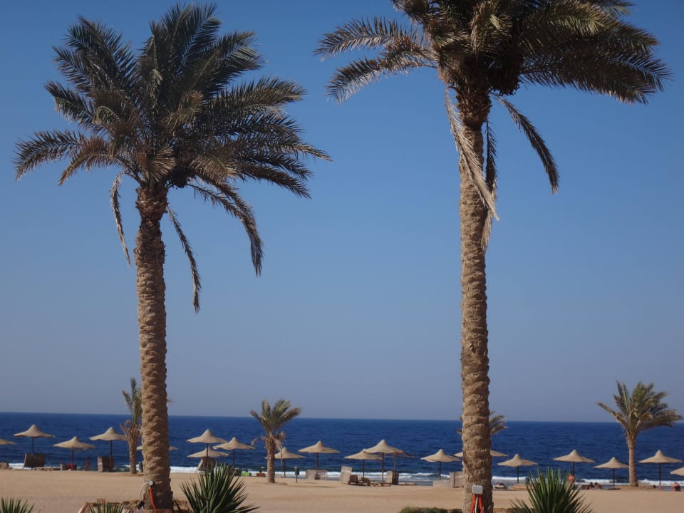 Blick vom Pool auf den Strand Three Corners Sea Beach Resort