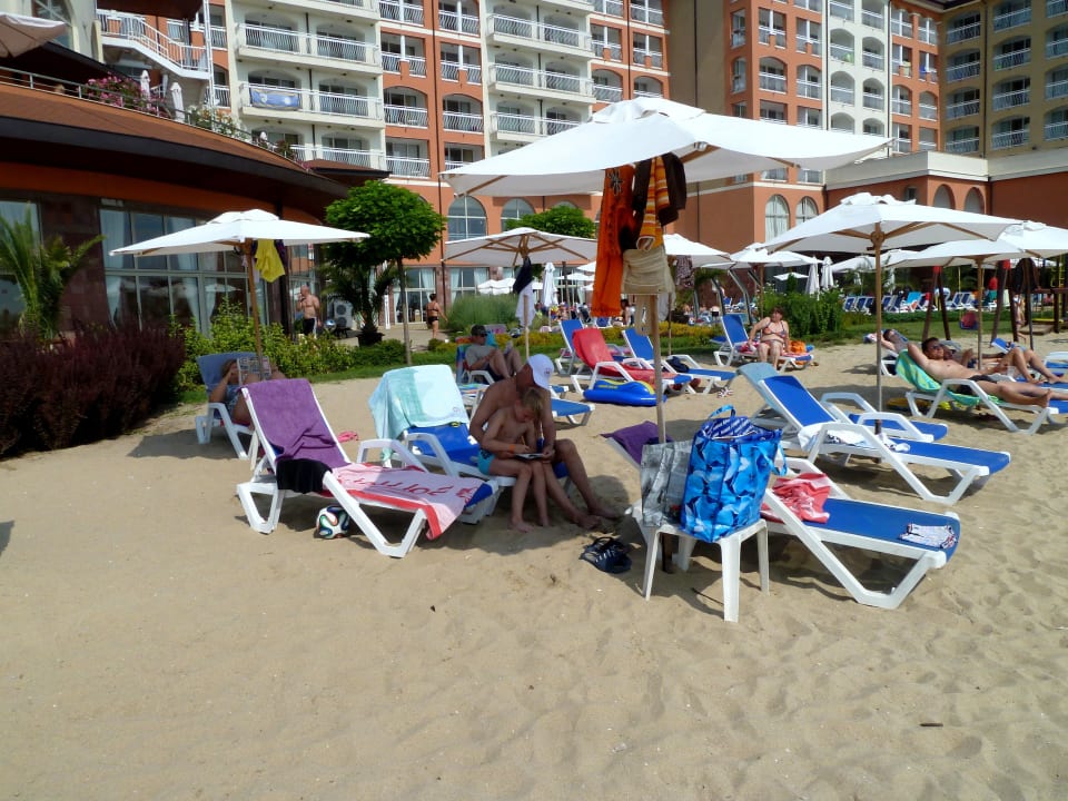 Liegestühle Sol Luna Bay