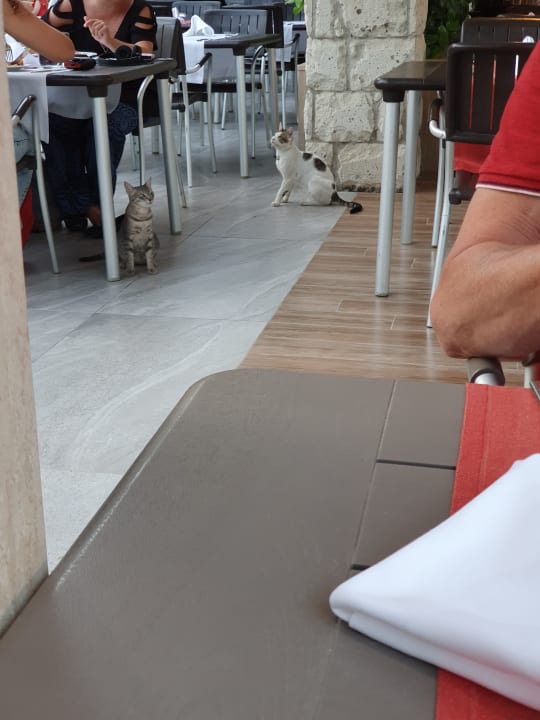 Sonstiges Belek Beach Resort Hotel