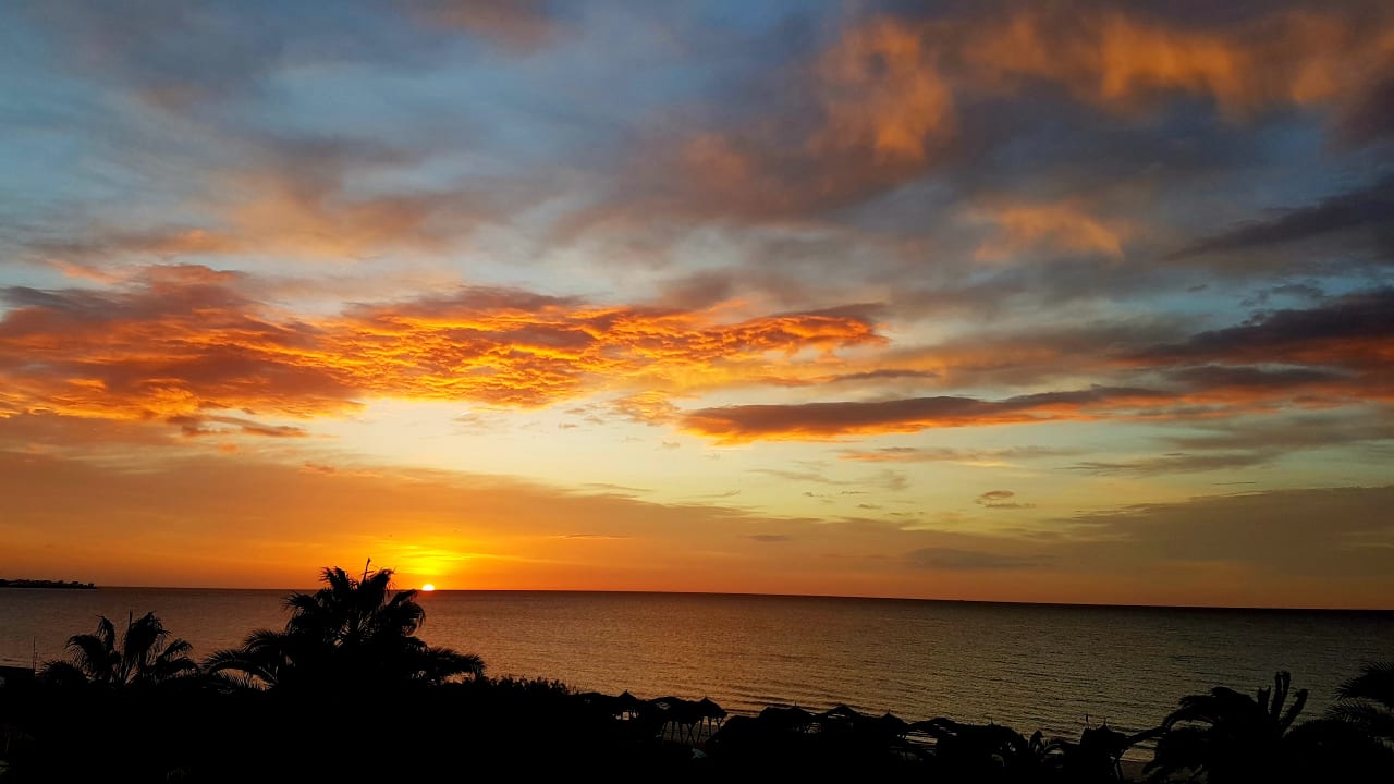 Ausblick The Orangers Beach Resort and Bungalows