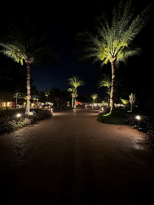 Gartenanlage Desert Rose