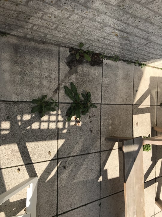 Gartenanlage Landal Beach Resort Ooghduyne