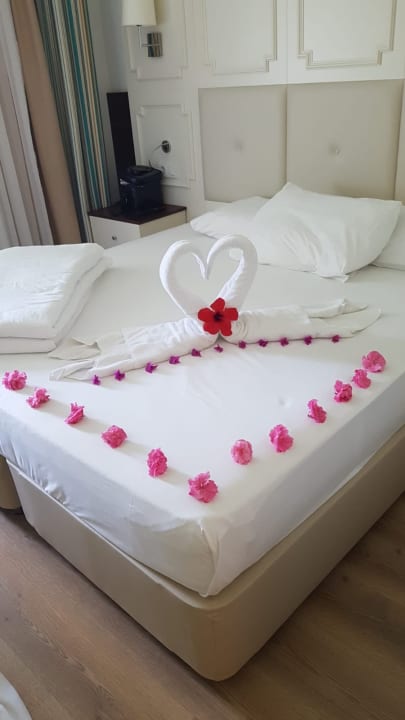 Zimmer Well Palace Side