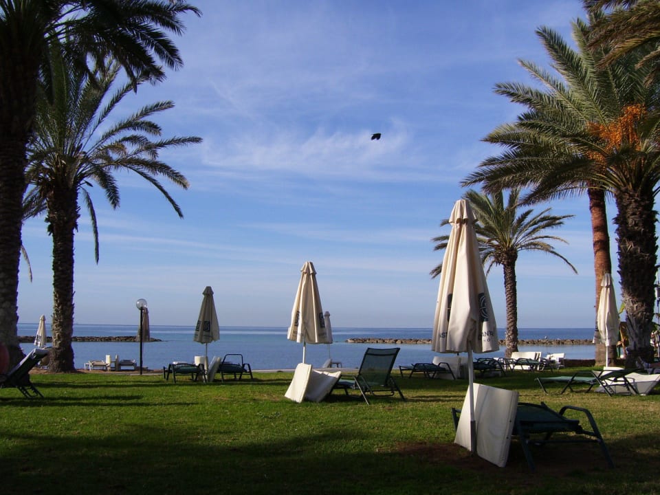 Die Liegewiese im Dezember TUI BLUE Pioneer Beach