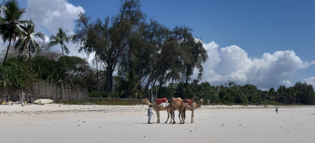 Strand African Dream Cottages